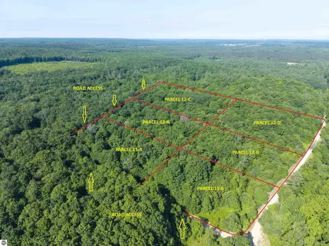 Wooded Acreage Near Alba, Michigan