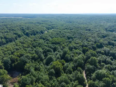 Wooded Acreage Near Alba, MI
