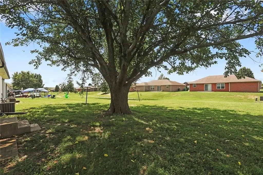 Picture 19