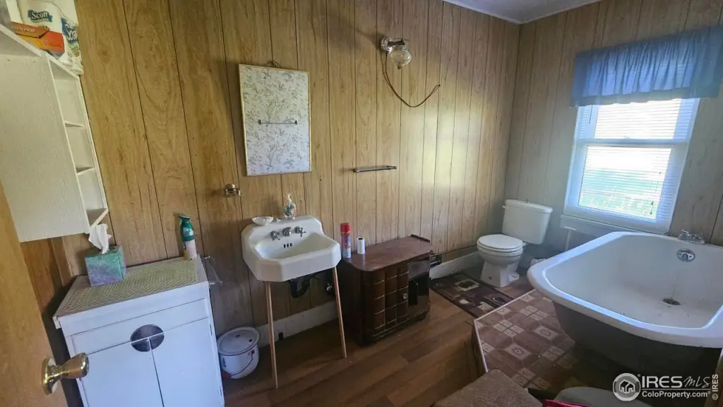 Picture 21