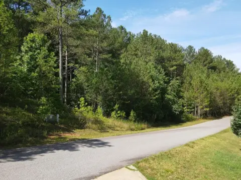 Blairsville Wooded Lot For Sale