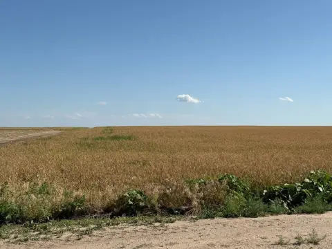 Cheyenne County Cropland Farm