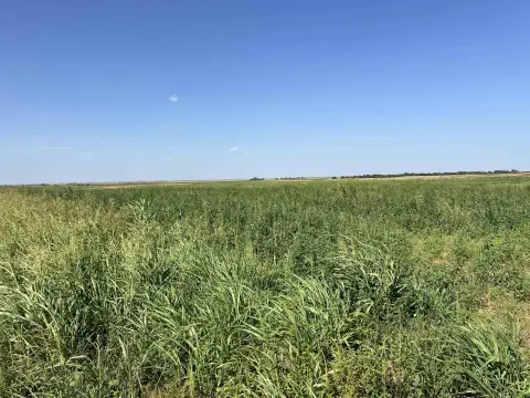 Hillsdale, OK: 10 Acre Tract