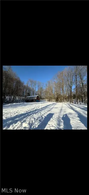 Picture 2