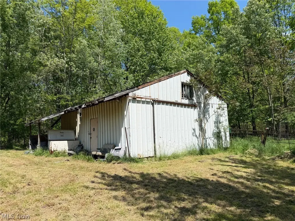 Picture 5