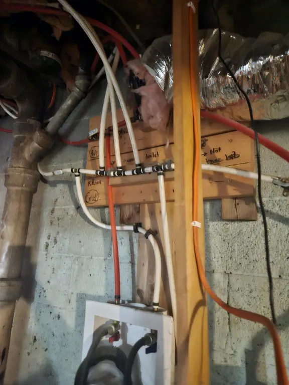 Picture 10