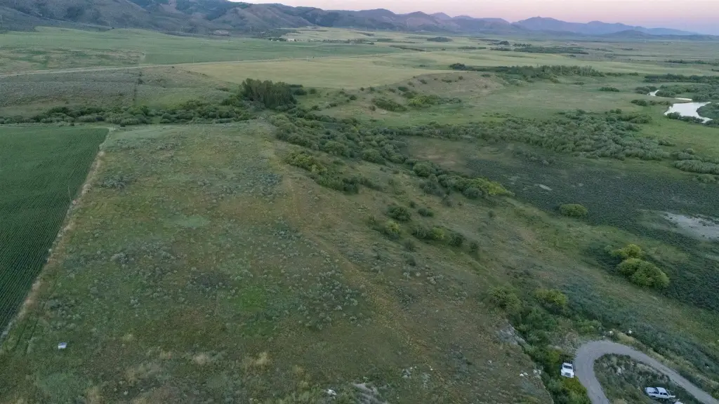 Picture 25
