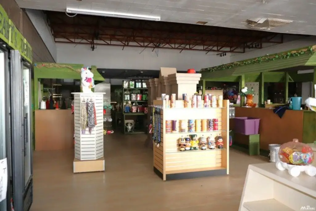 Picture 9