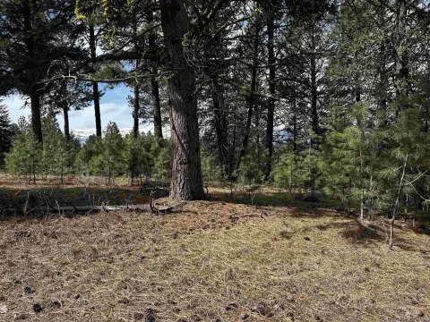 Cascade Lakeview Wooded Land Parcel