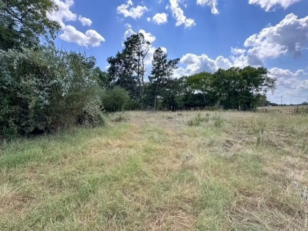 Picture 19