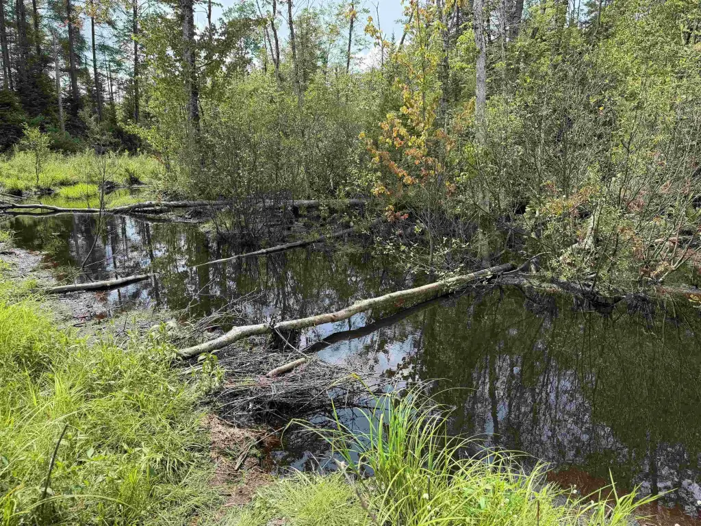 Picture 22
