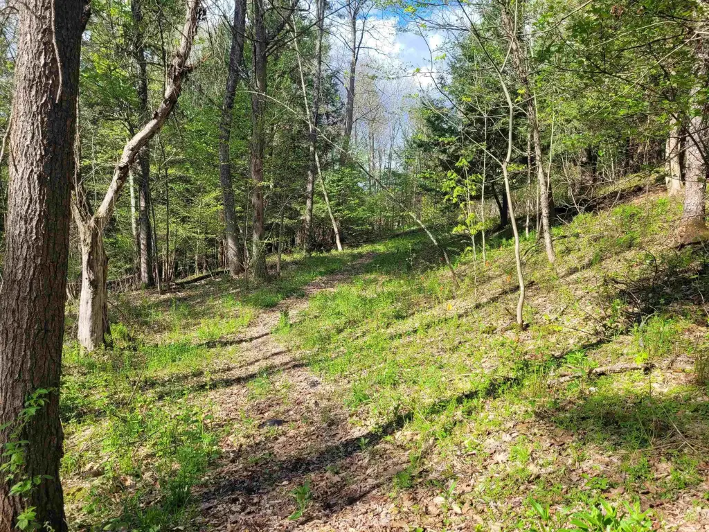 Picture 14
