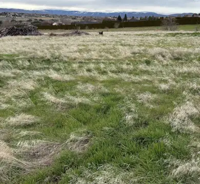 Yakima Residential Land Opportunity