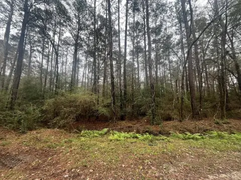 Residential Lot in Vidor, TX