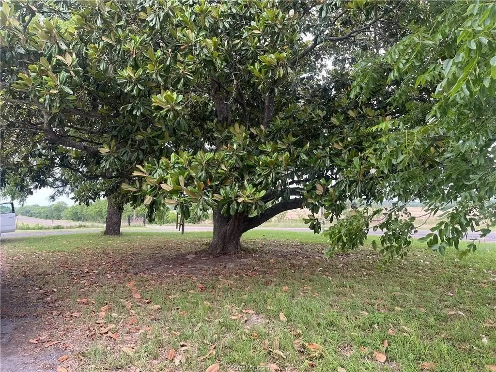 Picture 29