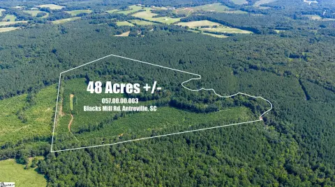 South Carolina Hunting Land with Creek