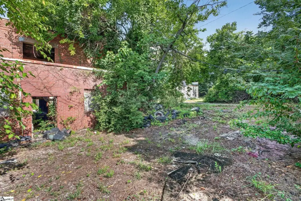 Picture 21