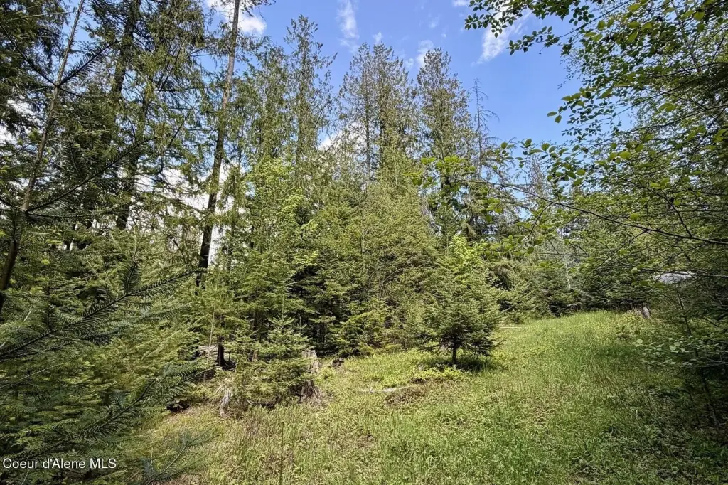 Picture 3