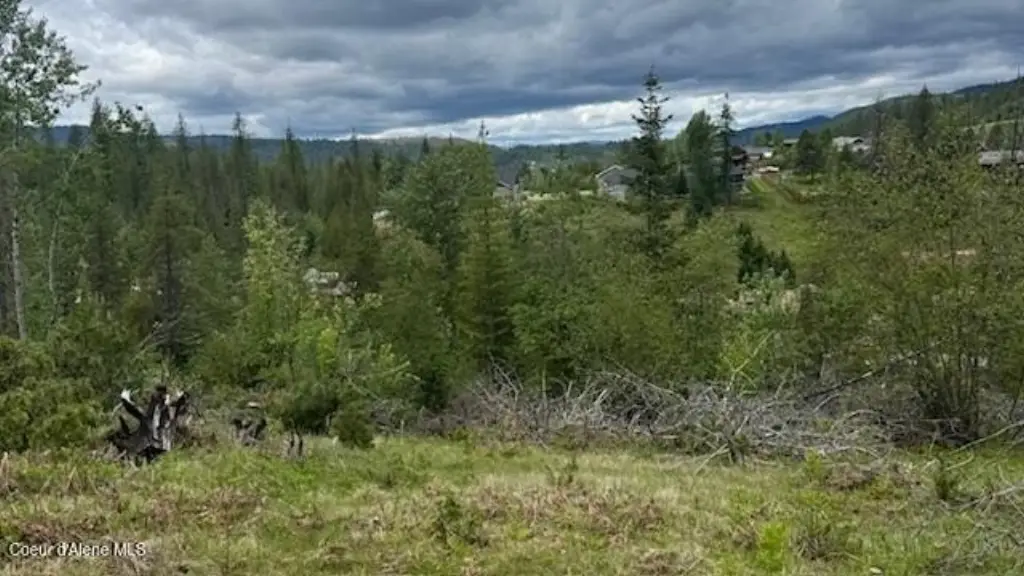 Picture 31