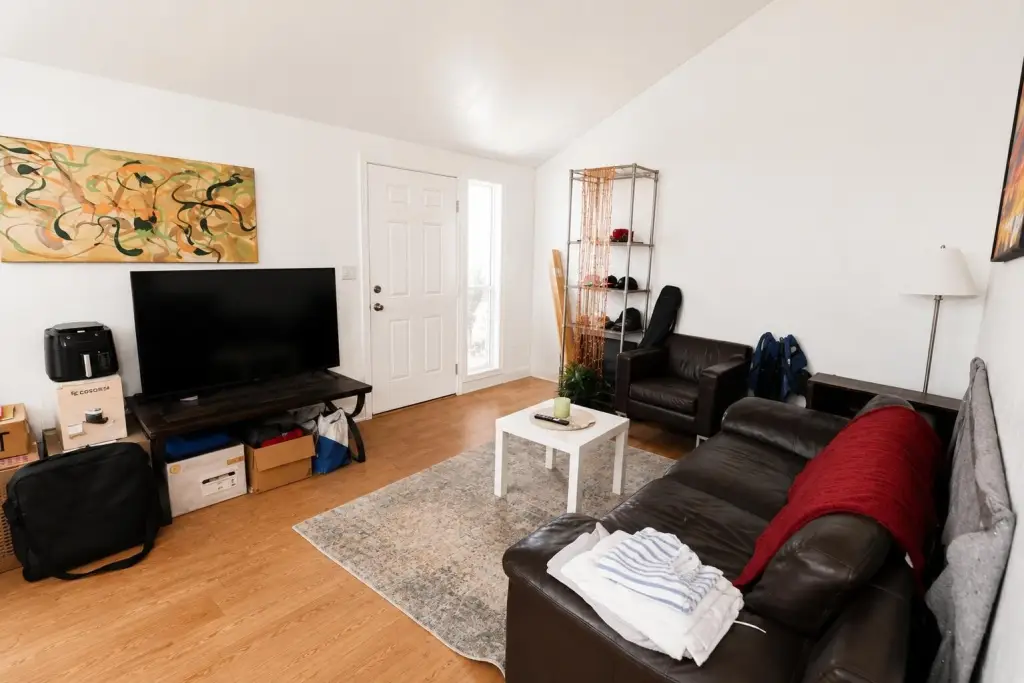 Picture 8
