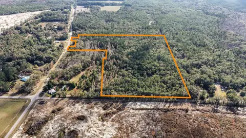 32 Acres Wooded Land in Florida