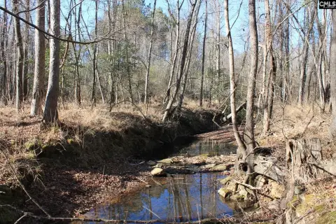 Scenic Acreage with Creek