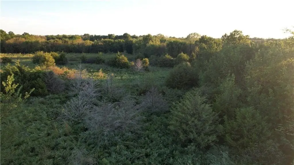 Picture 11