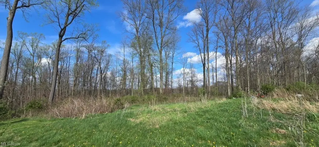 Picture 3