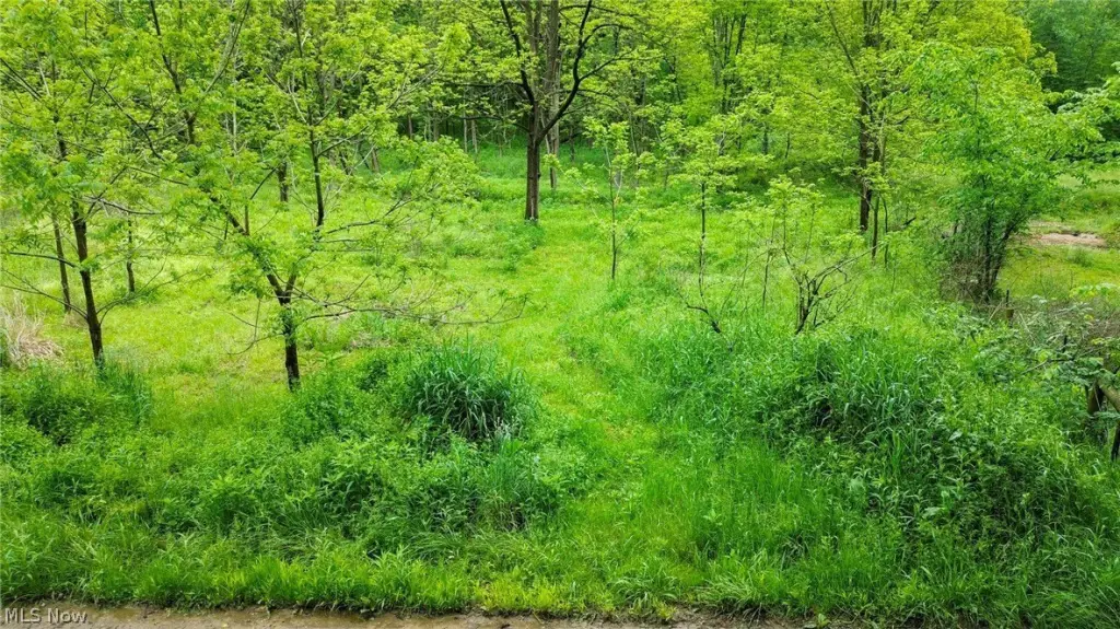 Picture 8