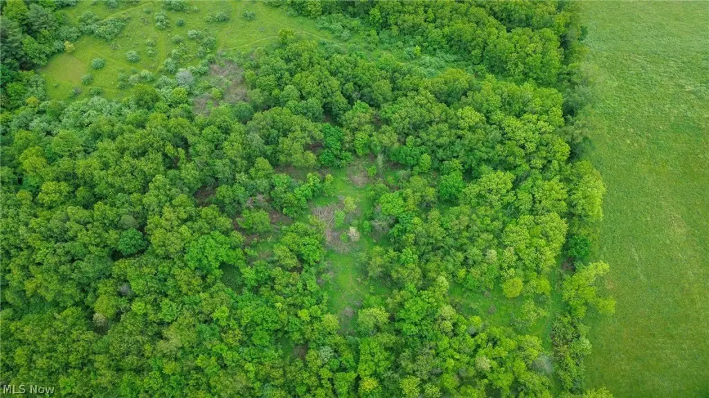 Picture 24
