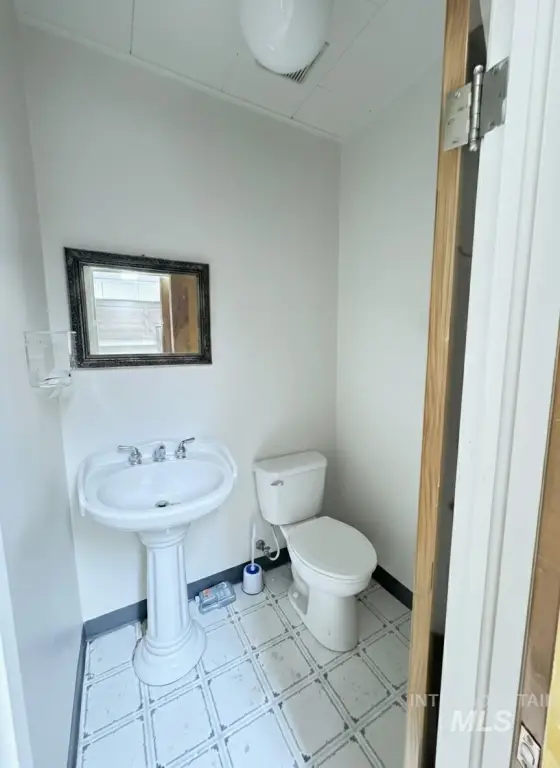 Picture 14