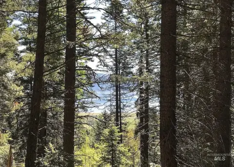 Scenic Land Near Tamarack Resort