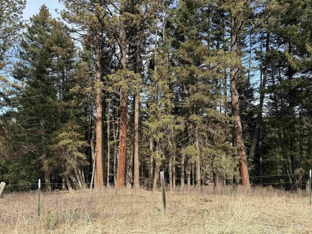 Picture 31