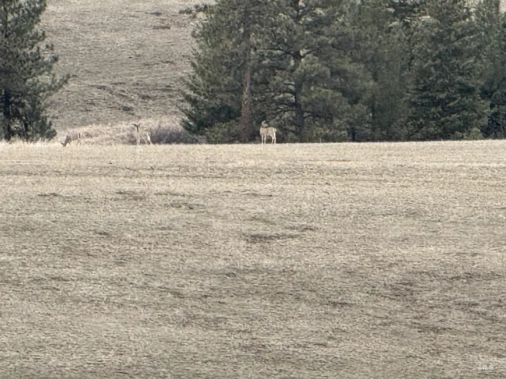 Picture 42