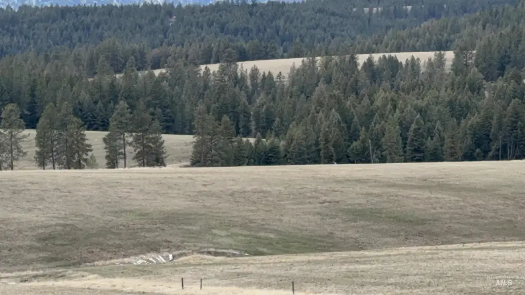 Picture 44