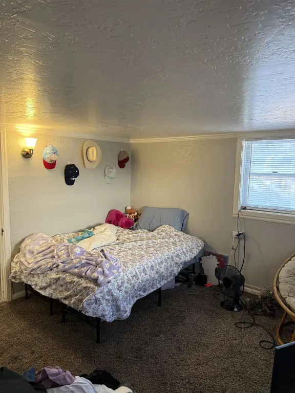 Picture 2