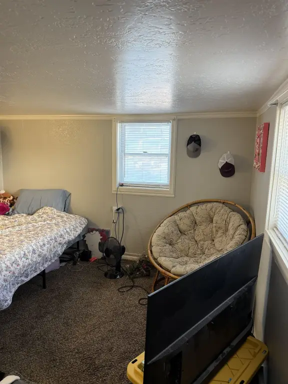 Picture 7