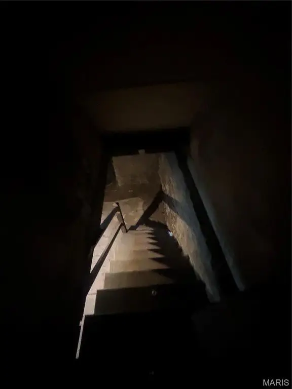 Picture 41