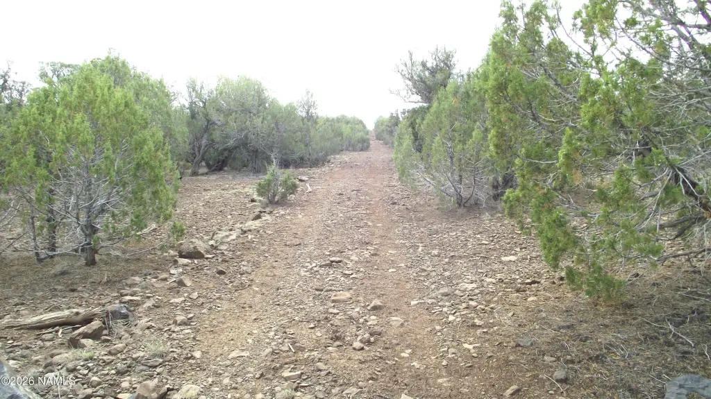 Picture 31