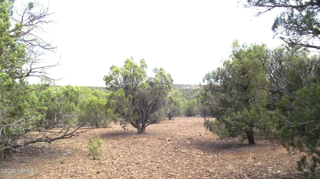 Picture 25