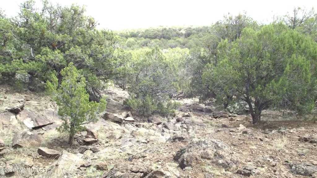 Picture 30