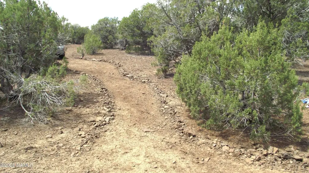 Picture 19