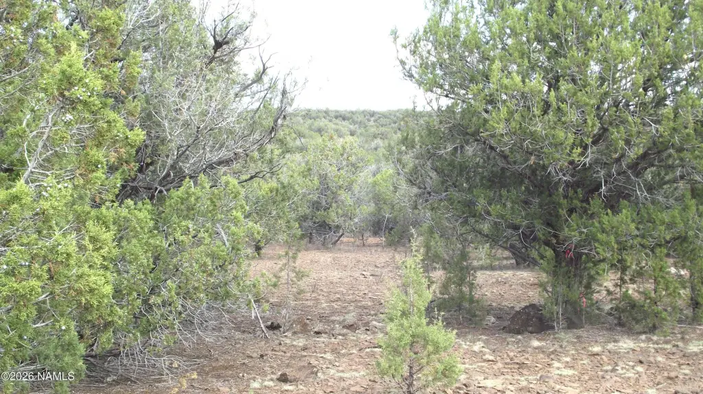 Picture 24