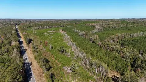 124 Acres on Highway 82