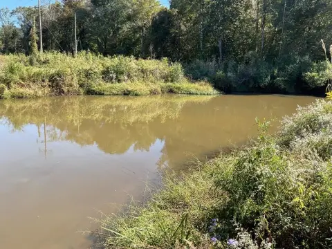 46.66 Acres of Hunting Land