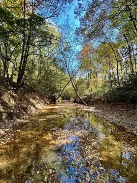 Undeveloped Land with Creek Frontage