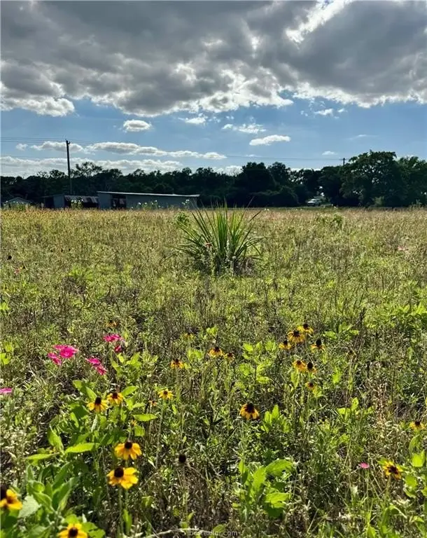 Picture 14