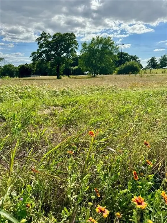 Picture 10