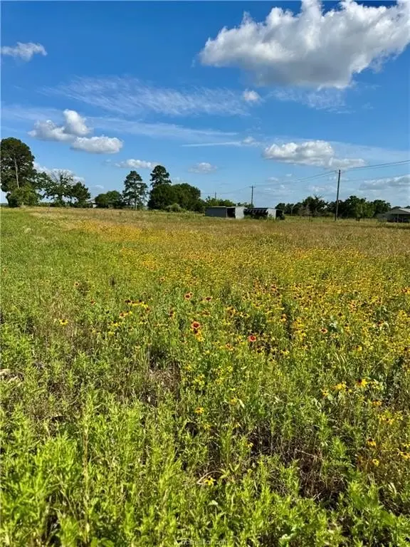 Picture 16