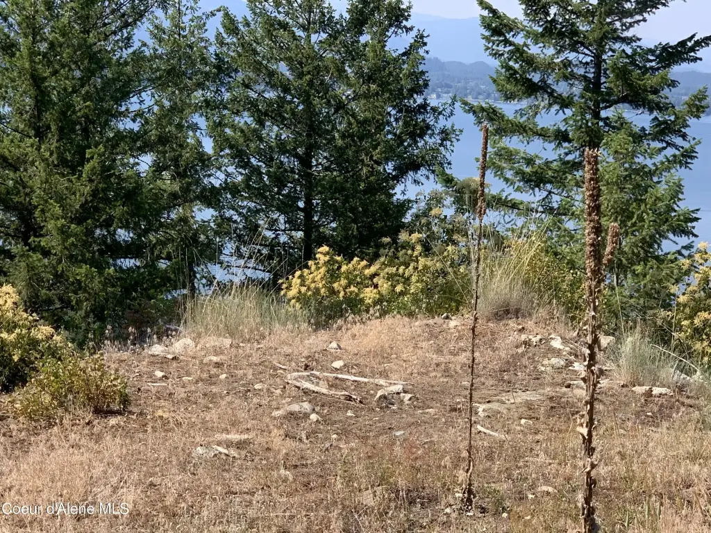 Picture 25
